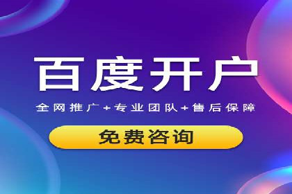 某零售业SEM策略调整，实现销售业绩大增